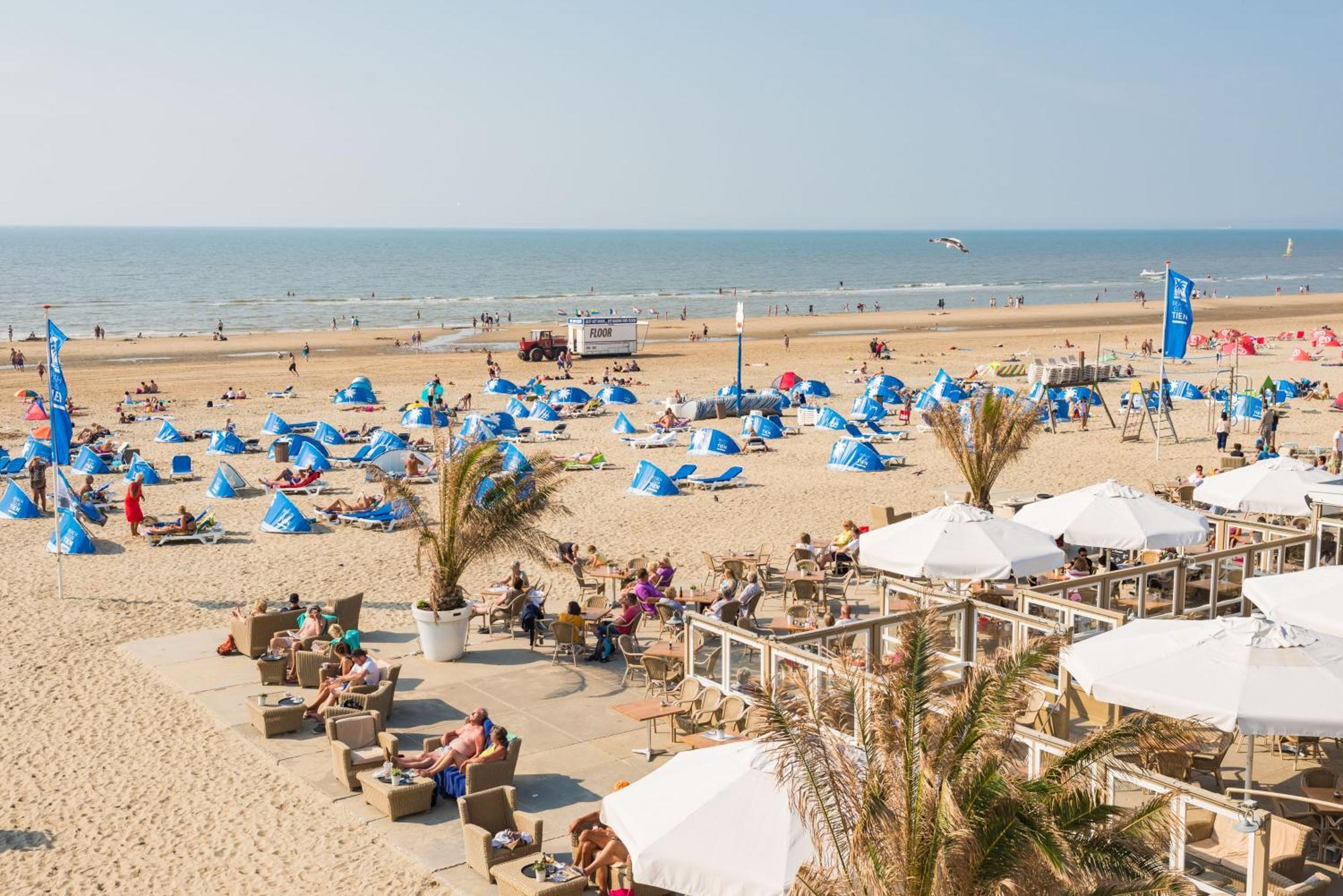 Moyo Kijani Villa Zandvoort Eksteriør billede